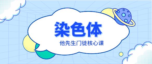 染色体《他先生门徒核心课》