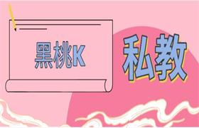 [11.5GB]黑桃K私教