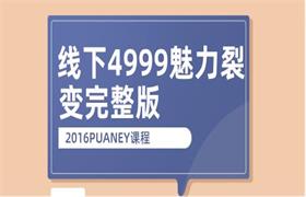 [14.7GB]2016PUANEY线下4999魅力裂变完整版