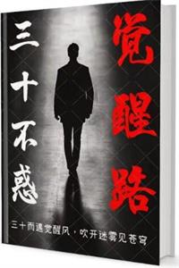 《三十不惑觉醒路》PDF